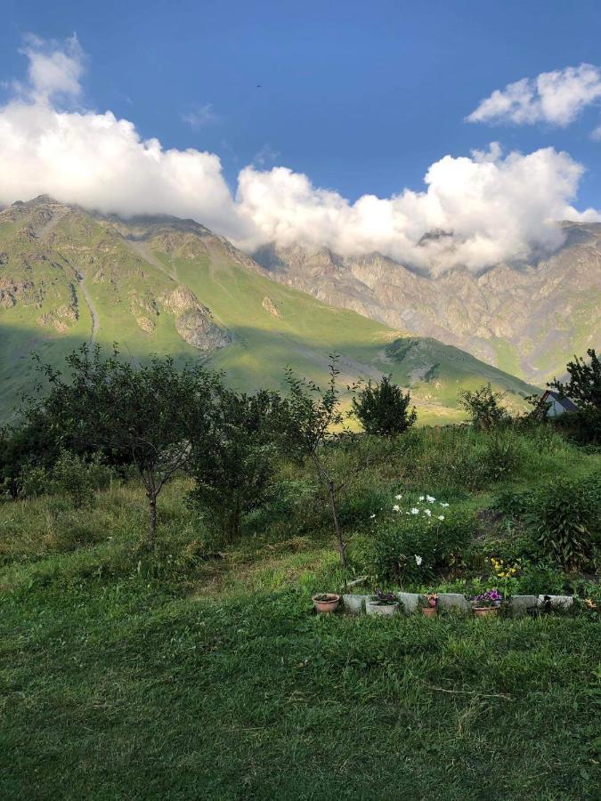 Mikheil Pitskhelauri Guest House Kazbegi Bagian luar foto