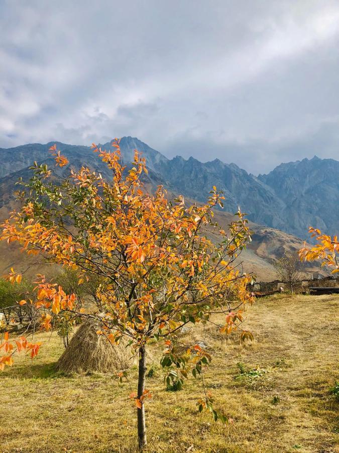Mikheil Pitskhelauri Guest House Kazbegi Bagian luar foto